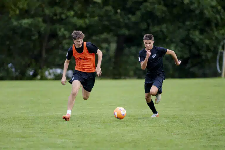 Camp de football Brighton