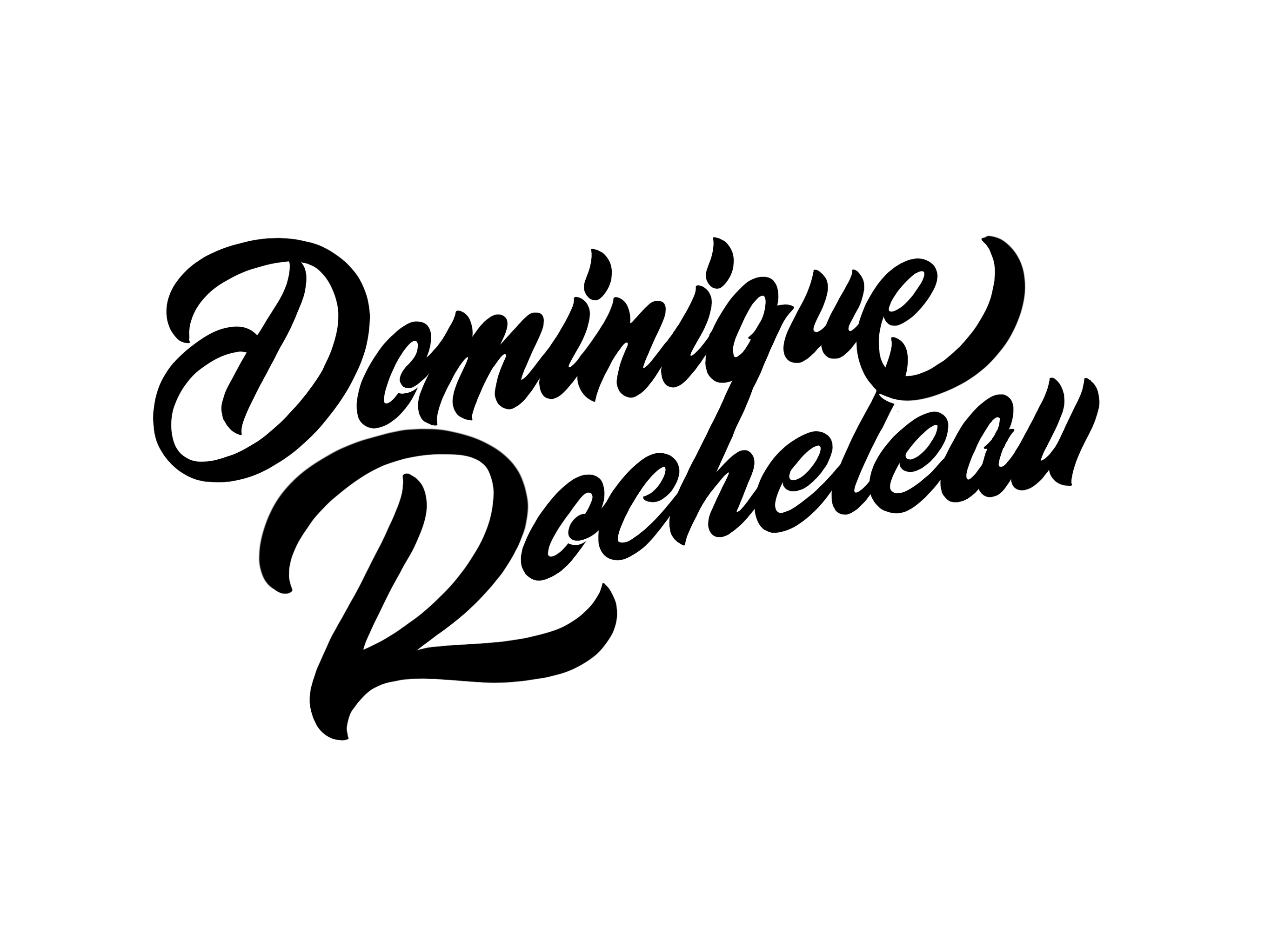 Logo stage Rocheteau